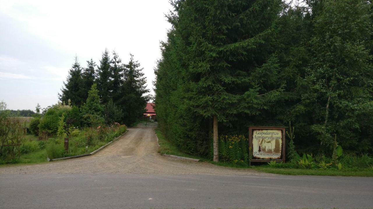 Agroturystyka Pod Czarna Sosna Bialy Lug 외부 사진
